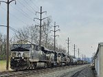 NS 8153